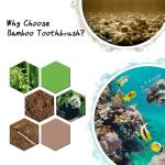 Eco-Friendly Bamboo Toothbrushes with Soft Bristles 10 Pack