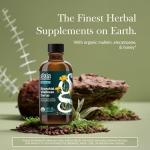 Gaia Herbs Bronchial Wellness Syrup for Lung Health