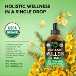 Organic Mullein Drops for Lung Health Support