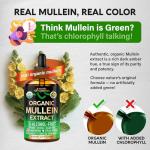 Organic Mullein Drops for Lung Health Support