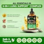 Organic Mullein Drops for Lung Health Support