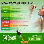 Organic Mullein Drops for Lung Health Support