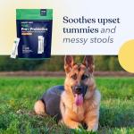 Honest Paws Dog Probiotics for Healthy Digestion