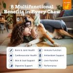 Zesty Paws Chewable Dog Multivitamin for Health