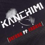 Kanchimi 40" Indoor Fitness Rebounder Trampoline