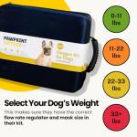 Portable Oxygen Kit for Pet Rescue and Transport