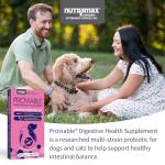 Proviable Probiotics for Dogs and Cats - Digestive Support