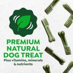 Natural Dental Chews for Dogs - Greenies Teenie Size