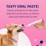 Proviable Probiotics for Dogs and Cats - Digestive Support