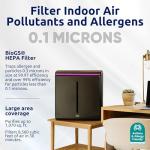 Rabbit Air A3 HEPA Air Purifier for Home
