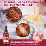 Liposomal NAD+ Liquid Drops - 2 Pack