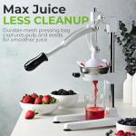 Zulay Kitchen 9-in-1 Heavy-Duty Manual Juicer