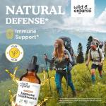 Organic Immune Mushroom Tincture - 8 Powerful Mushrooms