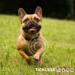 Tickless EcoPet Ultrasonic Tick and Flea Protector