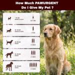 Activated Charcoal Gel for Dog First Aid