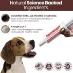 Activated Charcoal Gel for Dog First Aid