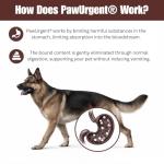 Activated Charcoal Gel for Dog First Aid