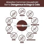 Activated Charcoal Gel for Dog First Aid