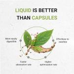 Blood Pressure Support Herbal Formula Drops 4 fl oz