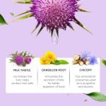 Liver Detox Drops with Milk Thistle & Turmeric