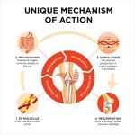 Joint Health Liquid Formula with Collagen and Turmeric