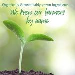 Garden of Life Super Greens Powder for Energy