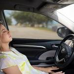 Front Window Screens for Large SUVs and Trucks