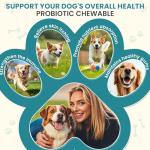 Dog Probiotics Chews for Digestive Health - 200 Tablets