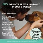 Dog Breath Freshener Dental Powder with Herbs