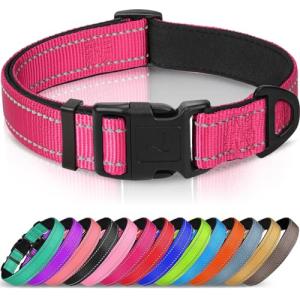 Joytale Reflective Nylon Dog Collar in Pink