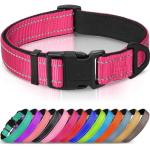 Joytale Reflective Nylon Dog Collar in Pink