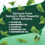 Vet's Best Flea and Tick Shampoo for Dogs