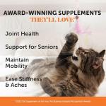 Cat Joint Health Chews with Glucosamine & Omega-3s