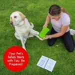 First Aid Guide for Dogs and Cats