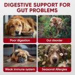 Dog Probiotics Chews for Digestive and Allergy Relief