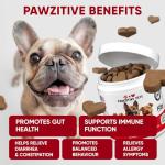 Dog Probiotics Chews for Digestive and Allergy Relief