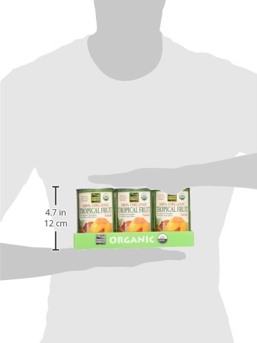 Organic Tropical Fruit Salad, 14-Ounce Cans - 6 Pack