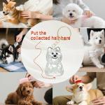 4 Pack Dog Hair Keychain | Set for pet - Keepsake Bottle to Preserve Fur | Memorial Gift for Pet, Pet Lover Accessory