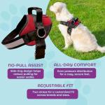 Joyride Harness Basic Essential Dog Harness 1.0 - Small, Medium, Large Dogs, No-Pull Pet Vest with 3 Side Rings for Leash Placement, Adjustable for Training (Red Rush, XS)