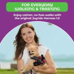 Joyride Harness Basic Essential Dog Harness 1.0 - Small, Medium, Large Dogs, No-Pull Pet Vest with 3 Side Rings for Leash Placement, Adjustable for Training (Red Rush, XS)