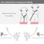 BTINESFUL 7ft Slip Lead Dog Leash, Strong Nylon Rope Leash, 1/4" Dog Training Lead for Small Medium Dogs, 14+ Colors (1/4" * 7 FT, Black)