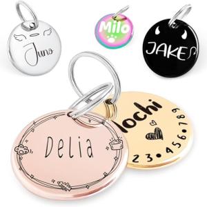 Personalized Stainless Steel Pet ID Tags