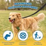 SunGrow Pet Training Leash, Heavy-Duty Polypropylene Walking Leash, 360-degree Swivel Hook, Dog/Puppy Obedience, Recall, Agility Lead, Leisure & Adventure Walking, Black, 6 feet x 0.8 inches