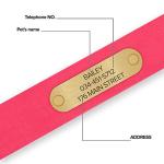 Regal Dog Products Medium Pink Dog Collar with Custom Engraved Name Plate - Custom Fit, Resistant, Easy to Clean Biothane Waterproof Personalized Dog Collars with Double Buckle & Center Ring