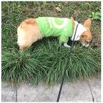 BTINESFUL 7ft Slip Lead Dog Leash, Strong Nylon Rope Leash, 1/4" Dog Training Lead for Small Medium Dogs, 14+ Colors (1/4" * 7 FT, Black)