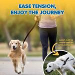 SunGrow Pet Training Leash, Heavy-Duty Polypropylene Walking Leash, 360-degree Swivel Hook, Dog/Puppy Obedience, Recall, Agility Lead, Leisure & Adventure Walking, Black, 6 feet x 0.8 inches