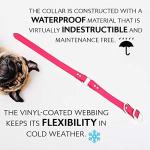 Regal Dog Products Medium Pink Dog Collar with Custom Engraved Name Plate - Custom Fit, Resistant, Easy to Clean Biothane Waterproof Personalized Dog Collars with Double Buckle & Center Ring