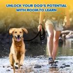 SunGrow Pet Training Leash, Heavy-Duty Polypropylene Walking Leash, 360-degree Swivel Hook, Dog/Puppy Obedience, Recall, Agility Lead, Leisure & Adventure Walking, Black, 6 feet x 0.8 inches