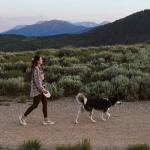 TUG Oval 360° Tangle-Free Retractable Dog Leash with Integrated Waste Bag Dispenser (Small, Cream)