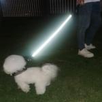 Mycicy 2/3/4/6/10 Foot Reflective Dog Leash Strong Nylon Rope Braided Heavy Duty for Large and Medium Small Dogs Walking Training Leads (Sky Blue, 3ft * 1/2")